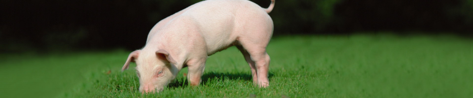 乐宝体育·(中国)官方网站