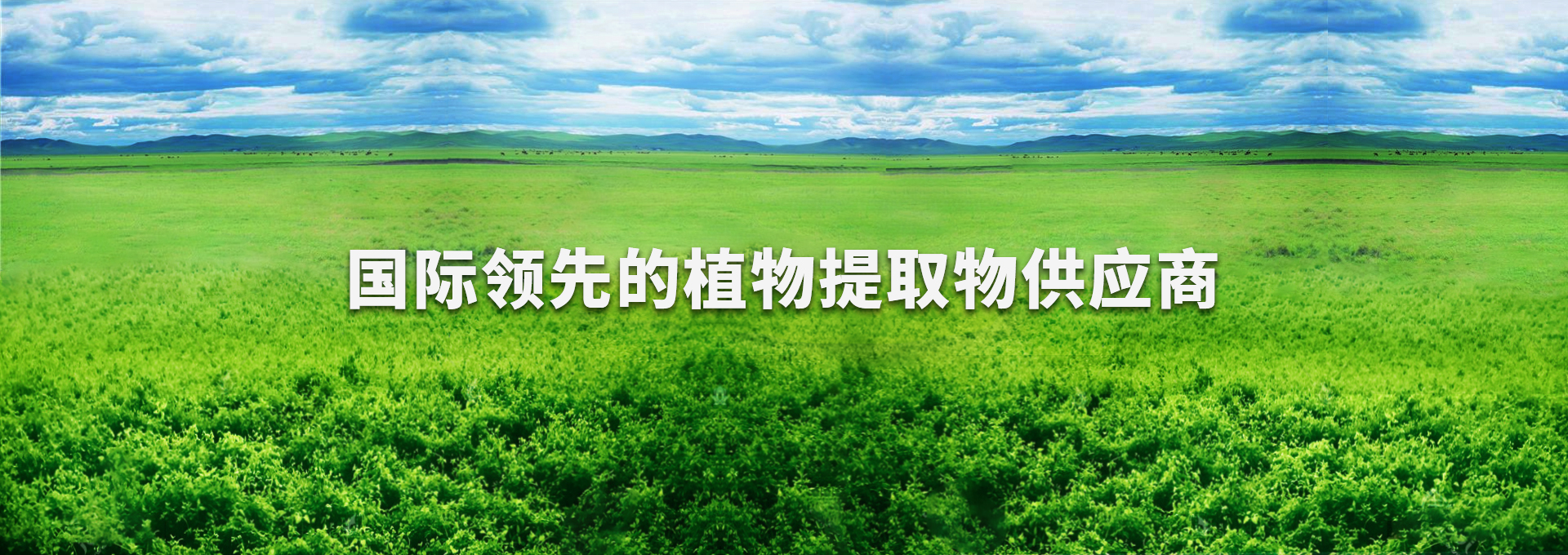 乐宝体育·(中国)官方网站