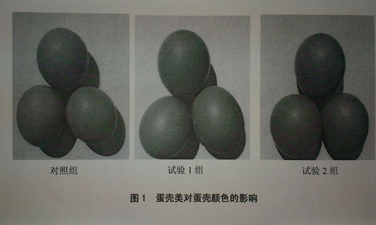 乐宝体育·(中国)官方网站