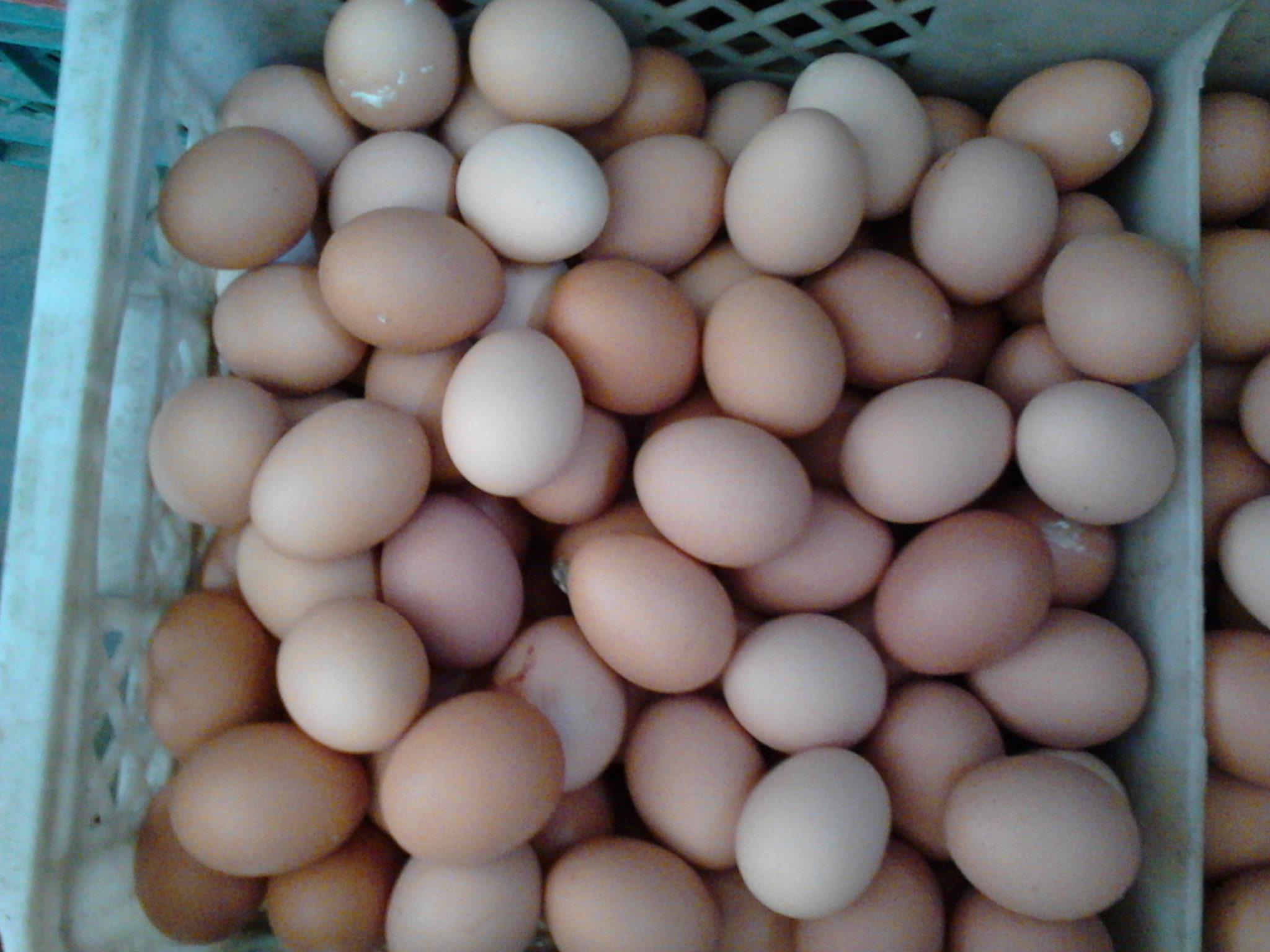 乐宝体育·(中国)官方网站