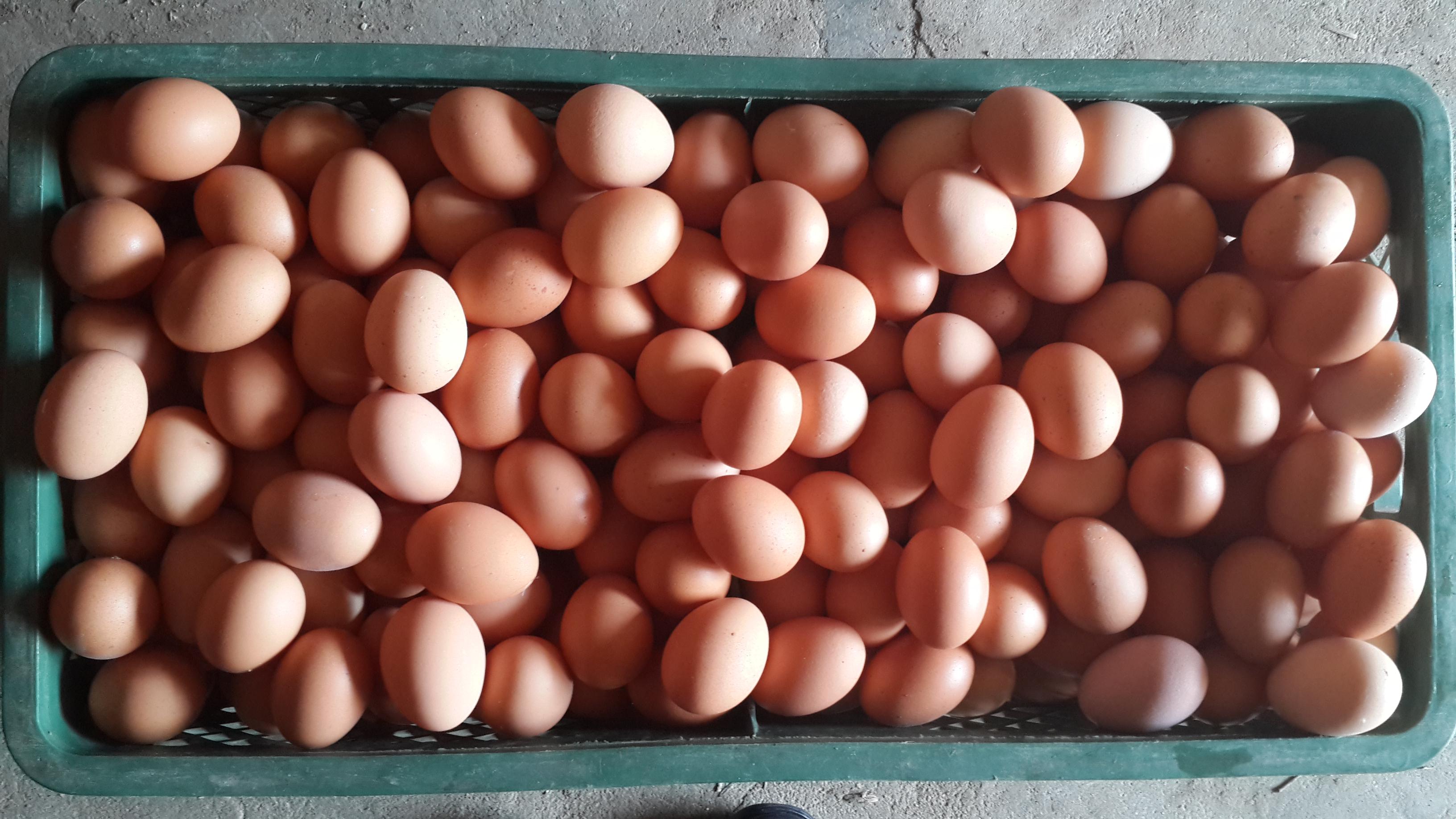 乐宝体育·(中国)官方网站