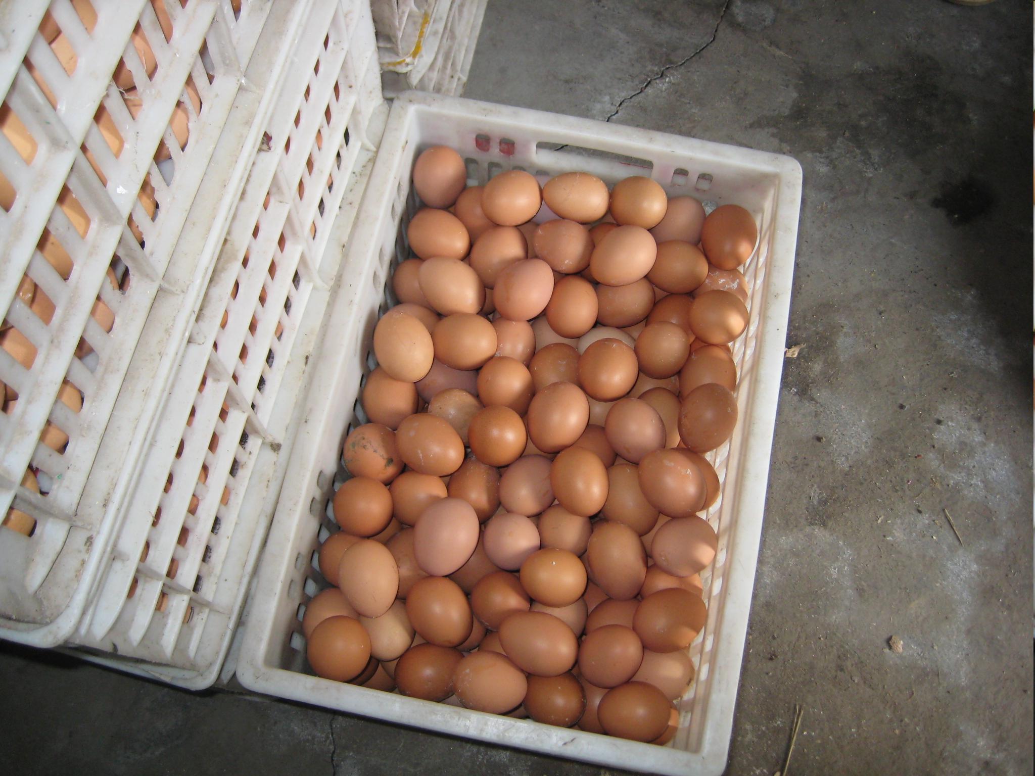 乐宝体育·(中国)官方网站