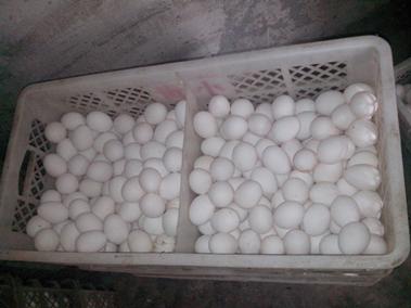 乐宝体育·(中国)官方网站