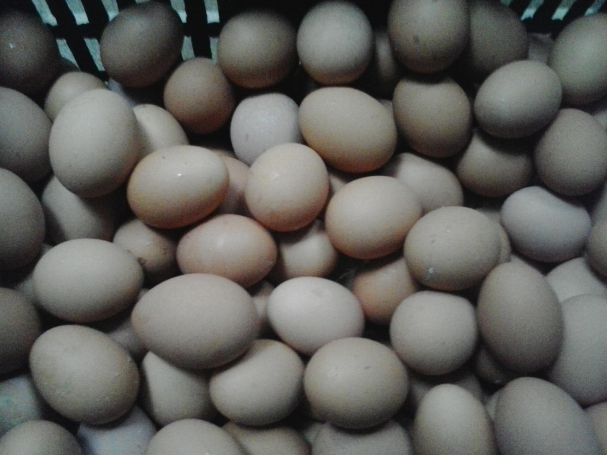 乐宝体育·(中国)官方网站