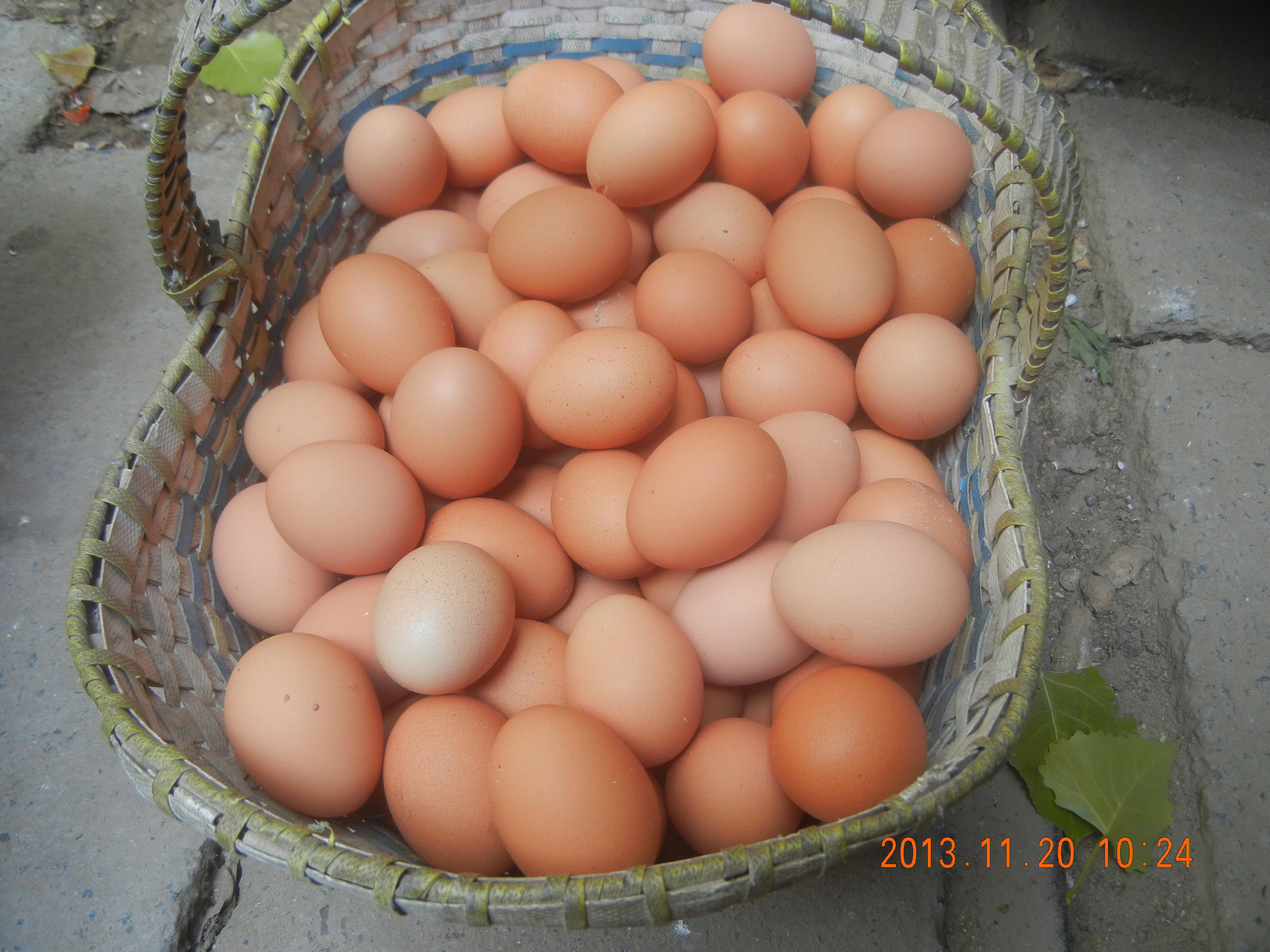 乐宝体育·(中国)官方网站