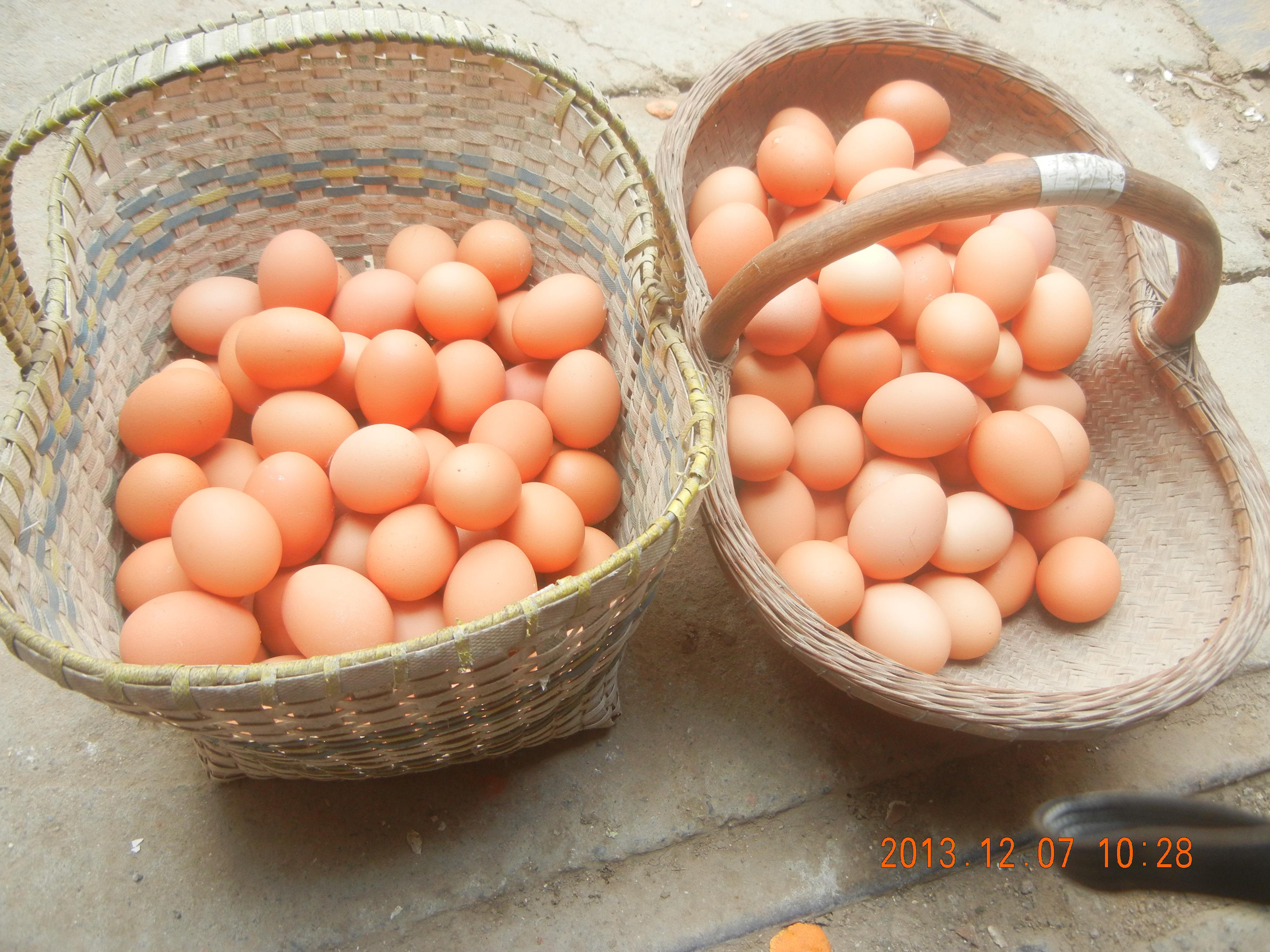 乐宝体育·(中国)官方网站