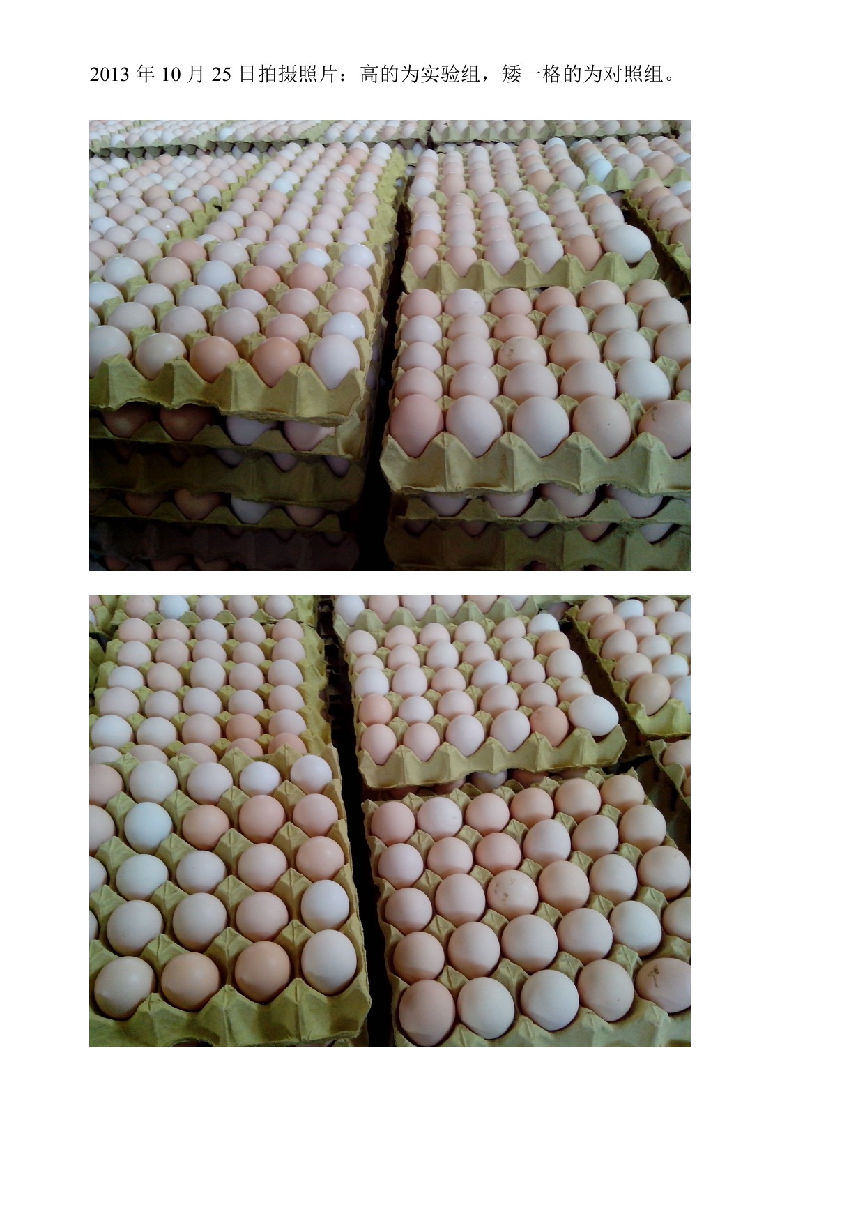 乐宝体育·(中国)官方网站