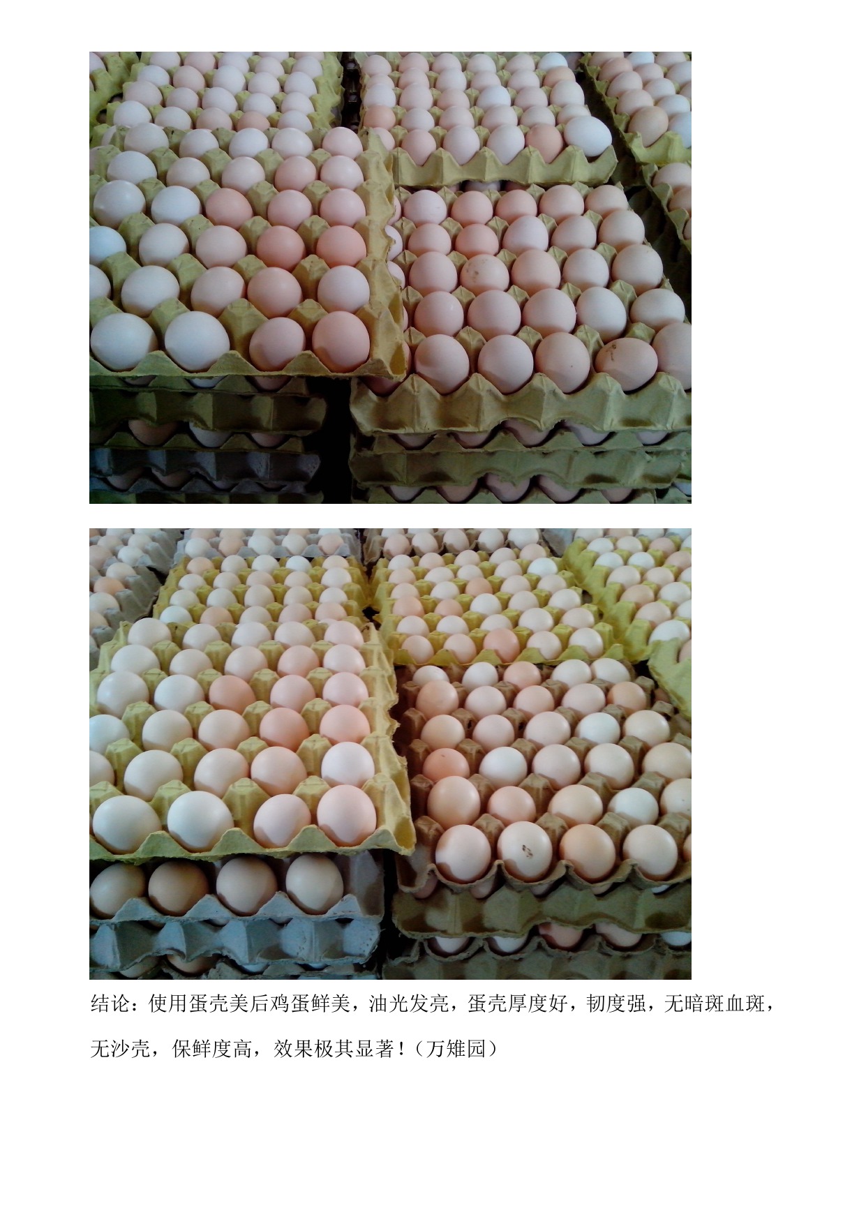 乐宝体育·(中国)官方网站