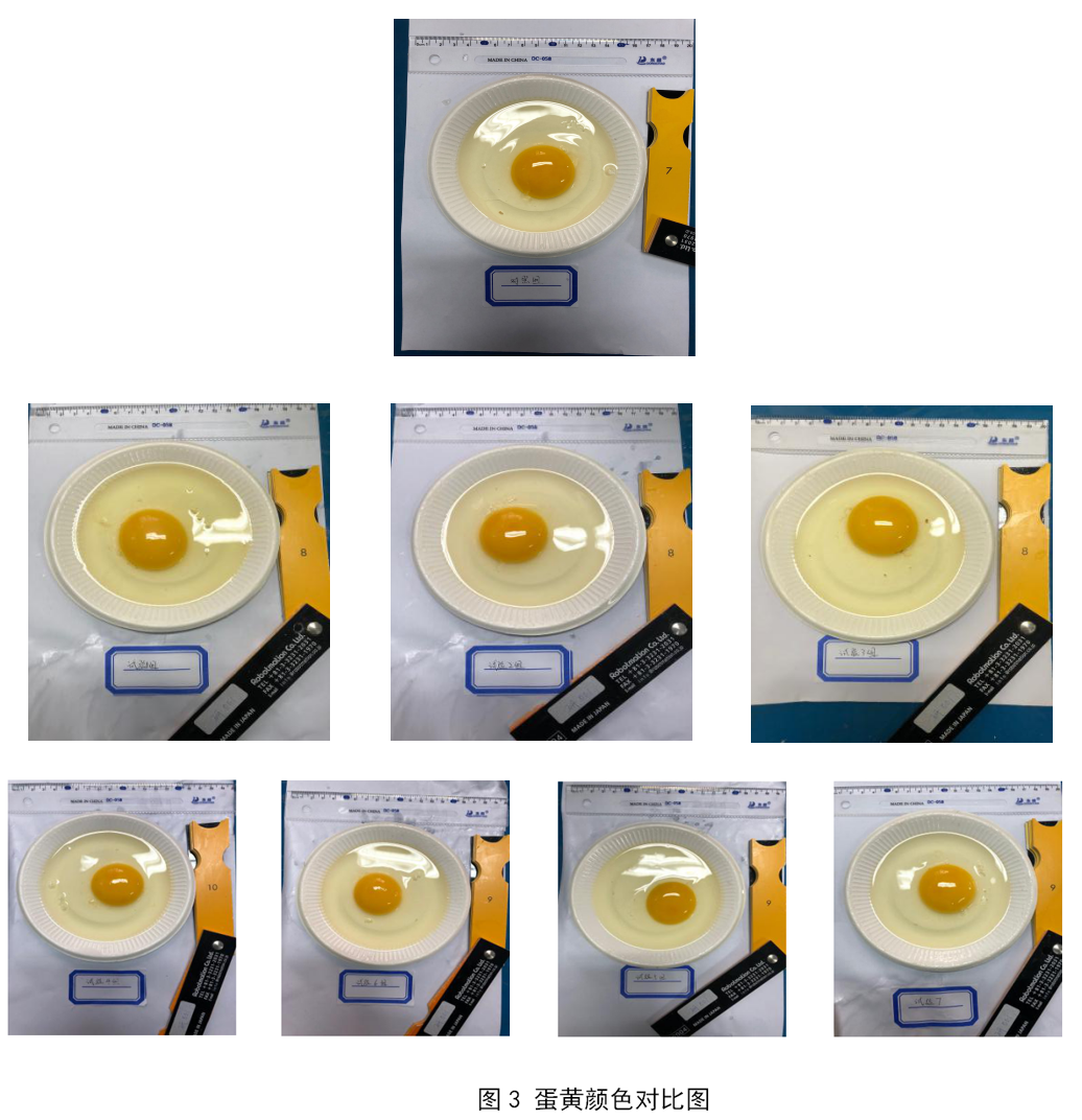 乐宝体育·(中国)官方网站