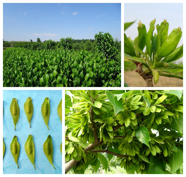 乐宝体育·(中国)官方网站