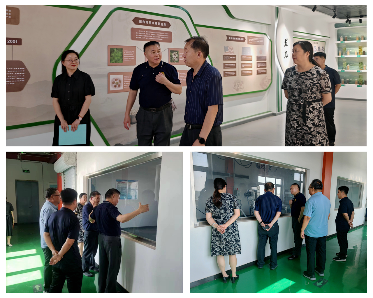 乐宝体育·(中国)官方网站